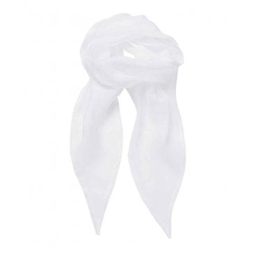 Colours Chiffon Scarf