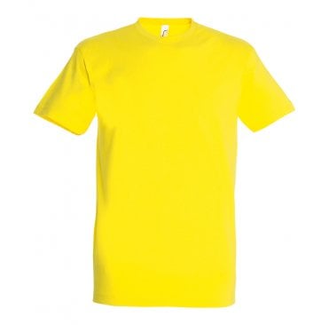 Heavy T-Shirt